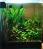 Aquarium2.jpg