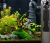 neues-Becken-01032015.jpg