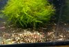 20150302_170134.jpg