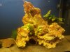 20150304_173127.jpg