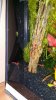 20150310_210604.jpg