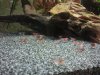 CameraZOOM-20150314174443889.jpg