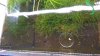 IMAG0879.jpg
