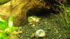 20150327_192513.jpg