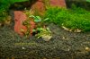 DSC00078.jpg