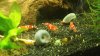 20150330_105704.jpg