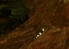 DSC_0476.JPG