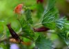 DSC_0522.JPG
