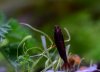 DSC_0556.JPG