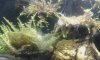20150425_100853.jpg