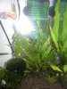 20150503_105026.jpg