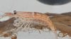 20150504_172529.jpg