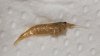 20150506_213404.jpg