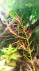 20150530_131516.jpg