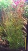 20150530_131457.jpg