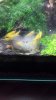 20150609_174922_resize_20150609_194559.jpg