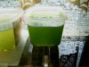 Chlorella3.JPG