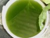 Chlorella5.JPG
