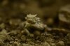thumb__DSC7427_1024.jpg
