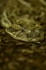 thumb__DSC7524_1024.jpg