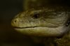 thumb__DSC7567_1024.jpg