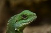 thumb__DSC7574_1024.jpg