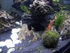 DSCN3351.JPG