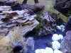 DSCN3389.JPG