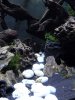 DSCN3490.JPG
