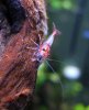 DSCN3572.JPG