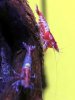 DSCN3595.JPG