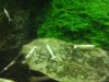 DSC02653.JPG
