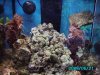 IMG_2404a.jpg