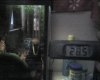 img116.jpg