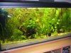 160l27Mai08.jpg