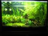 Aquarium.jpg
