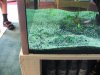 DSCF1801.jpg