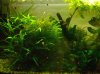 habitat-aquarium-1.jpg