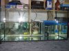 IMG_0899_small.jpg