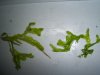 100_2521.JPG