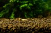 DSC01710.jpg