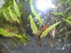 BILD3777.JPG