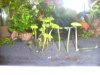 BILD3778.JPG
