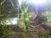 BILD3779.JPG