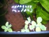 BILD3781.JPG