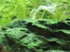 DSC07125.jpg