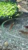 IMG-20151009-WA0000.jpg