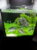 20151023_184738.jpg