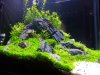 20151027_205508.jpg