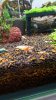 20151121_163113.jpg